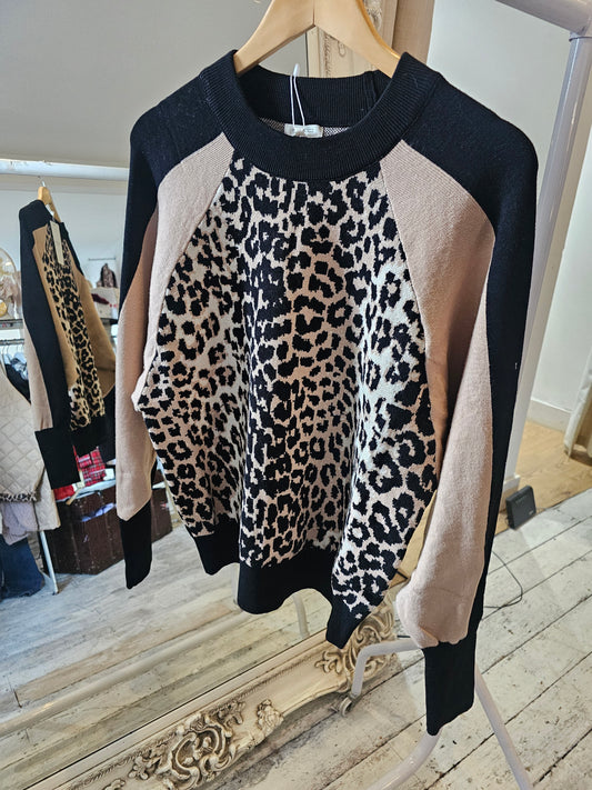 Leopard Print Raglan Sleeve Jumper in camel