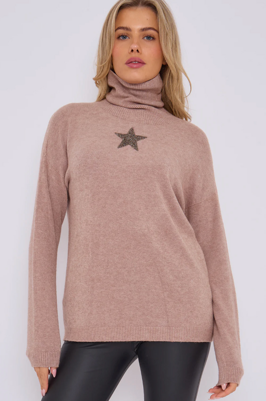 Star detail supersoft polo neck in mocha