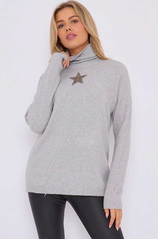 Star detail supersoft polo neck in grey